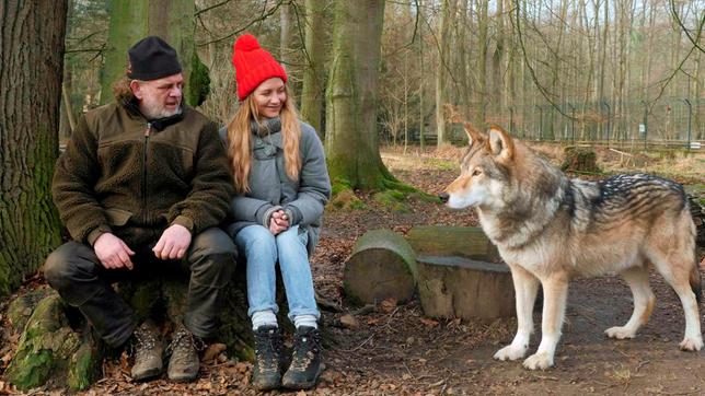 Bild: WDR Jana und der Wolfsexperte Matthias sitzen auf einem Baumstumpf im Wolfsgehege.