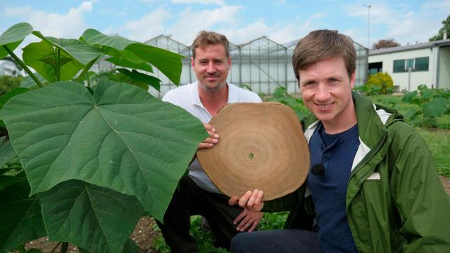 Bild: WDR/tvision Johannes (r) mit dem Kirizüchter Peter Diessenbacher in Tönisvorst. Sie halten eine Holzscheibe des Superbaums in den Händen.