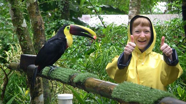 Bild: BR/Text + Bild Medienproduktion GmbH Paula und die wilden Tiere Die bunten Vögel Costa Ricas: Paula mit einem Fischertukan
