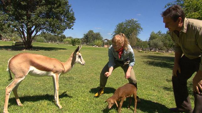 Bild: BR Paula und die wilden Tiere Hopp hopp hopp – Springbock!