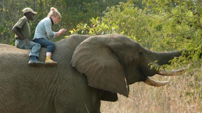 Paula auf einem Elefanten