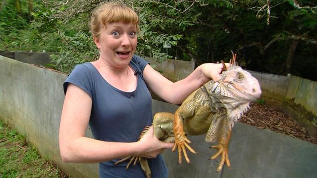 Bild: BR Paula und die wilden Tiere Warum nickt der Leguan? 05.07.2014
