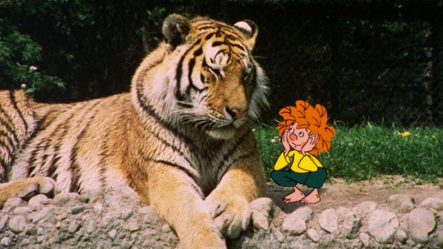 Bild: BR/Infafilm GmbH/Original-Entwurf "Pumuckl"-Figur: Barbara von Johnson Meister Eder und Pumuckl gehen in den Zoo. Die vielen fremden Tiere sind neu und aufregend für den kleinen Kobold.