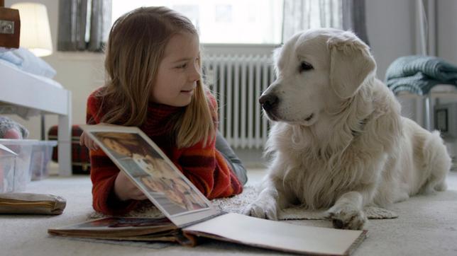 Bild: SWR/NRK/Beta Film Die neunjährige Selma (Siri Skjeggedal) und ihr Hund Casper schauen sich Bilder von früher an.
