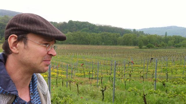 Bild: WDR/Flash Film Weinbauer Armin Reis im Weinberg in Bremm.