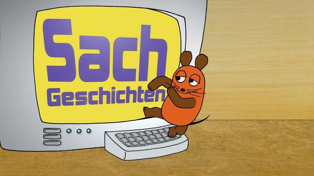 Bild: WDR Maus und Computer