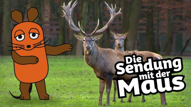 Bild: WDR Maus zeigt auf Hirsch auf Wiese