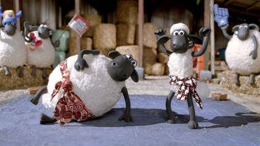 Bild: WDR/Aardman Animations Ltd./Luke Smith Shaun das Schaf Shaun das Meisterschaf Olympia Sport Judo Folge 8