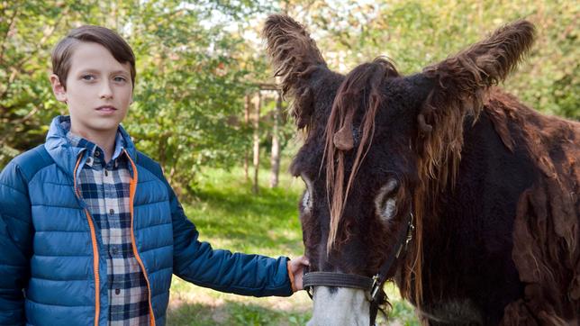 Bild: SWR/Maria Wiesler Der introvertierte Tom (Nemo Frenzel) will unbedingt seinen Poitou-Esel Portos behalten.