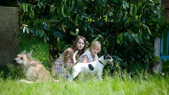 Bild: SWR/Maria Wiesler Die beiden Cousinen Greta (li., Enya Elstner) Nelly (re., Jule-Marleen Schuck) mit ihren Hunden Brezel (li.) und Cookie (re.) wittern gleich, wenn Tiere in Not sind.