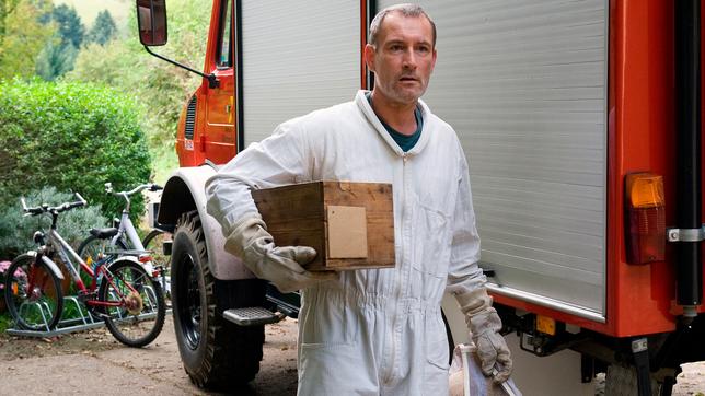 Bild: SWR/Maria Wiesler Tiere bis unters Dach Folge 54 Hornissennest