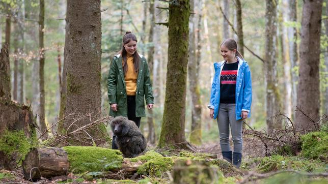 Bild: SWR/Maria Wiesler Lucy (Paulina Schnurrer) und Leo (Phillis Lara Lau) haben den Pavian im Wald entdeckt