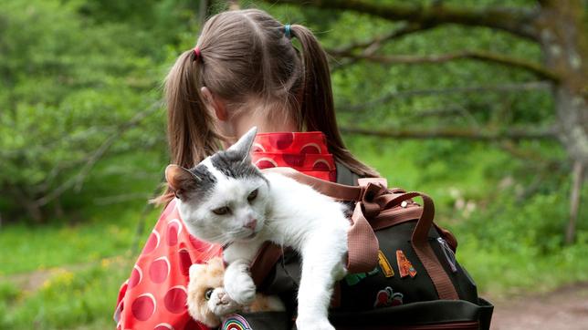 Bild: SWR/Maria Wiesler Mia (Lotta Zeilinger) ist entschlossen: diese kleine Katze ist entlaufen und soll in Zukunft ihr gehören.