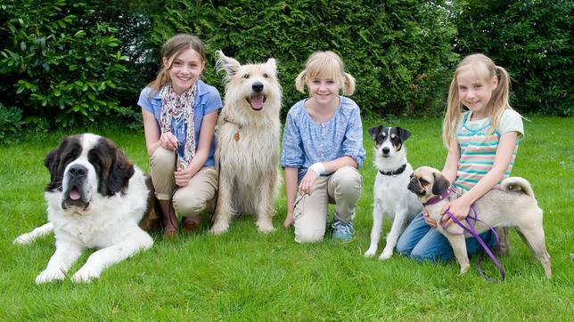 Bild: SWR Tiere bis unters Dach: Mädchen und ihre Hunde