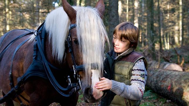 Darsteller der Serie &#034;Tiere bis unters Dach&#034; mit einem Pferd