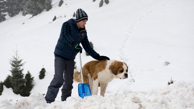 Ein Junge und ein Bernhardiner im Schnee