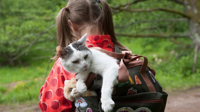 Mädchen bei &#034;Tiere bis unters Dach&#034; mit einer Katze in einem Rucksack