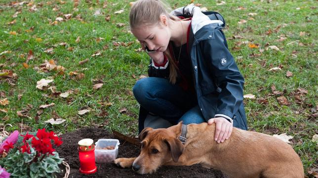 Paulina mit Hund Carlo auf dem Friedhof