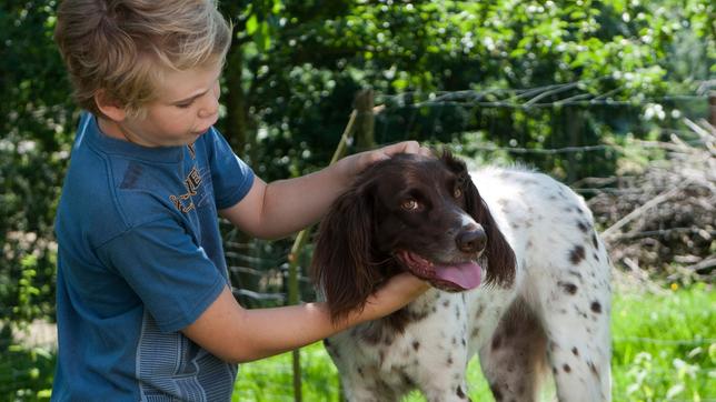 Tim streichelt den wilden Hund