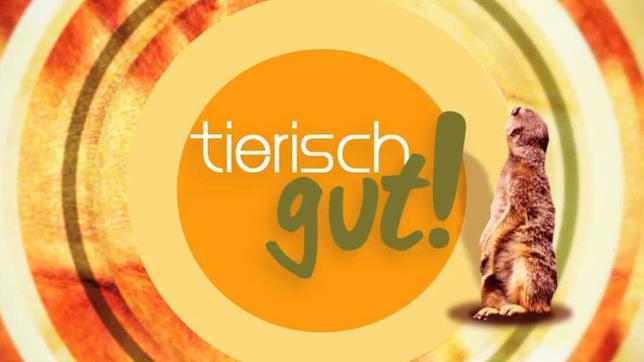 Bild: ARD Tierisch gut