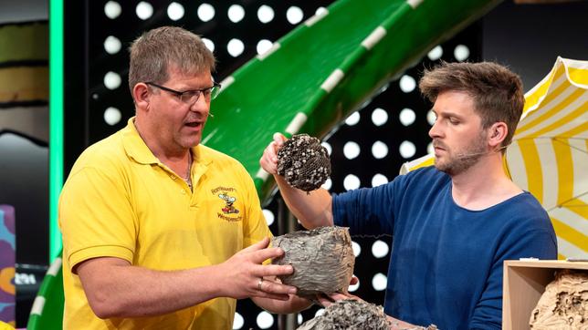 Bild: SWR/Alexander Kluge Das Nest im Nest - hier zeigt Wespenexperte Jan-Erik Ahlborn unserem Moderator Johannes Zenglein, wie filigran und effektiv Wespen in der Lage sind Ihre Habitate anzulegen.