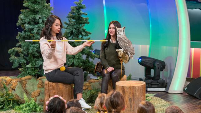Bild: SWR/Alexander Kluge Muschda Sherzada im Gespräch mit Falknerin Vanessa Müller, Schulklassen: Fritz-Leonhardt- Realschule, Stuttgart (Tigerenten), Neue Mittelschule, Salzburg (Frösche).