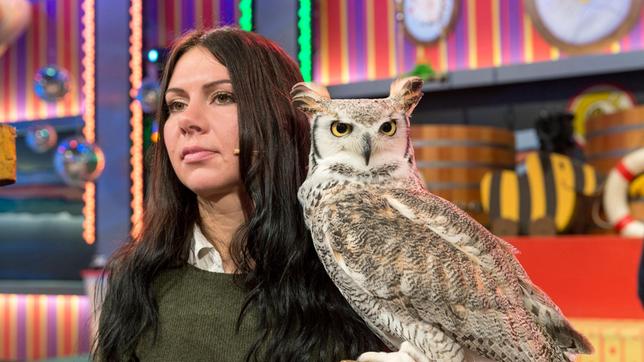 Bild: SWR/Alexander Kluge Sie haben scharfe Augen, fliegen unheimlich schnell und sind ausgezeichnete Jäger: Raubvögel! Wie sie ticken, erklärt Falknerin Vanessa Müller im "Tigerenten Club". Sie kennt sich mit Eulen, Falken & Co. bestens aus - kein Wunder: in ihrer Falknerei "Garuda" bei Stuttgart leben 26 Raubvögel, die von Vanessa gepflegt, trainiert und geliebt werden.