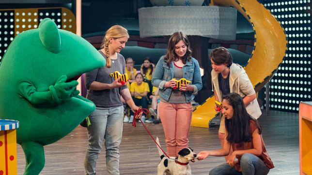Bild: SWR/Markus Palmer v.l.n.r. Farina Klause mit Filmhund Junior, Antonie Lawrenz & Oscar Keymer und Muschda Sherzada. Im Hintergrund die Schulklasse des Richard-Wagner-Gymnasium, Bayreuth (Tigerenten).
