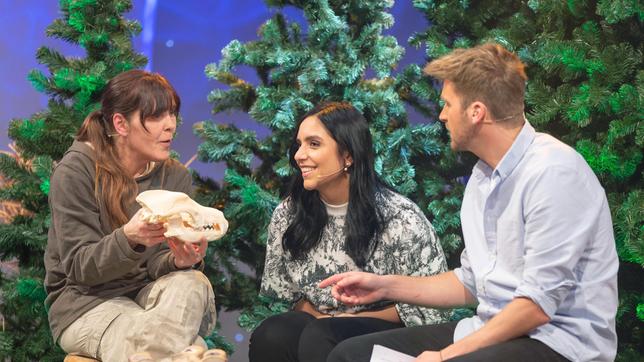 Bild: SWR/Markus Palmer Wolfexpertin Tatjana Schneider erklärt den Moderatoren Jessica Lange und Johannes Zenglein, wie das Gebiss eines Wolfes aufgebaut ist.