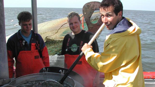 Bild: BR/megaherz Willi wills wissen Alles in Butter auf dem Krabbenkutter 15.10.2016