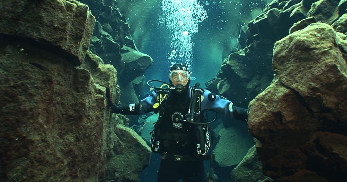 Expedition Island Erde Willi wills wissen ARD Das Erste