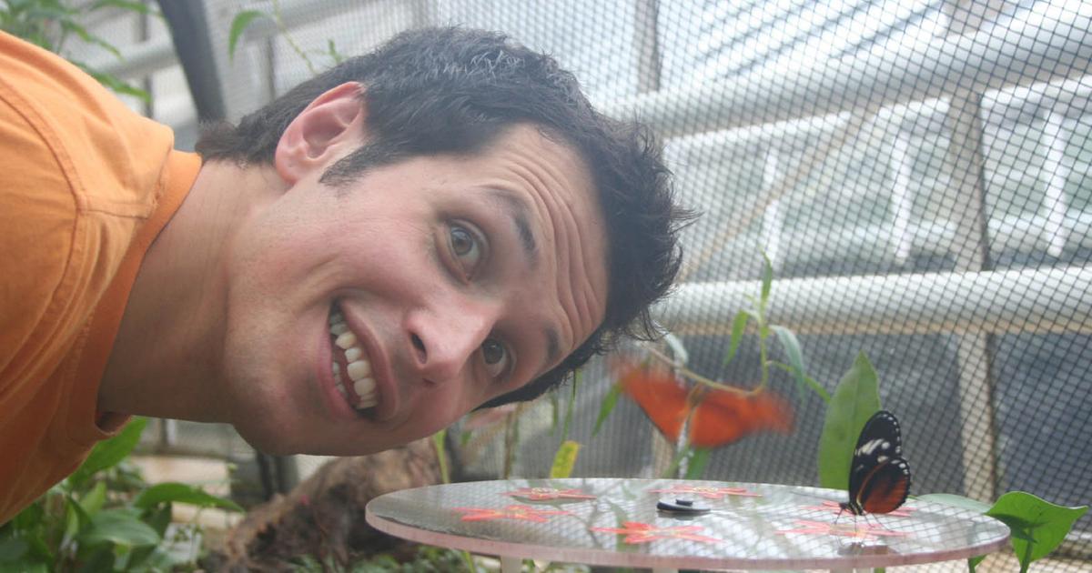 Insekten Willi wills wissen ARD Das Erste
