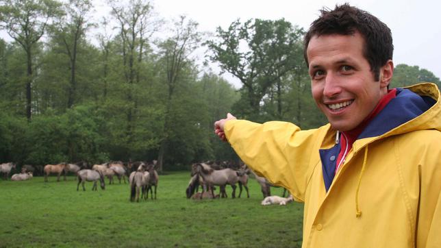 Bild: BR/megaherz Willi wills wissen Wer fängt die wilde Pferdeherde?
