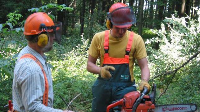 Bild: BR/megaherz gmbh Willi Weitzel (rechts) bekommt die Grundlagen der Holzfällerei erklärt und darf helfen, eine Fichte zu fällen.