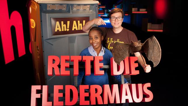 Bild: WDR/Thorsten Schneider Shary und Ralph stehen unter Druck. Sie - verschwindet hinter der Klotür und kommt nicht mehr heraus. Er - ist ganz auf sich alleine gestellt. Ralph verrät, warum Eier oval sind und wie man einsame Fledermauskinder zurück zur Mama bringt.