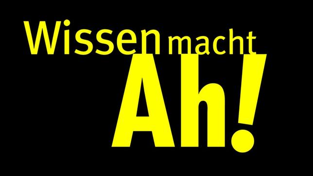Bild: wdr Wissen macht Ah!-Logo