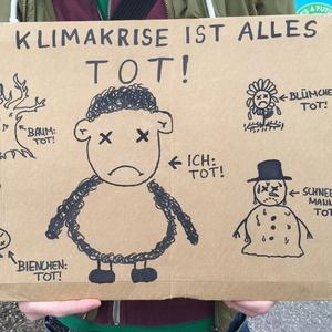 Plakat: Klimaangst, Klimadepression? Psychologist for Future unterstützen Klimaaktivisten.