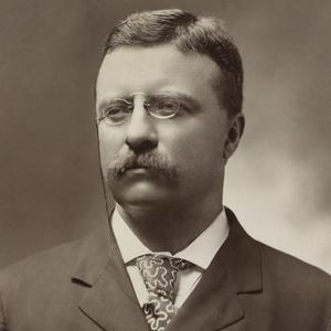 Theodore Roosevelt