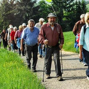 Eine Gruppe von Wanderern läuft durchs Grüne