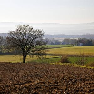 Feld- und Wiesenlandschaft, Nordrhein Westfalen