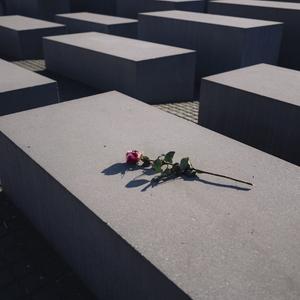 Rote Rose auf dem Holocaust-Mahnmal in Berlin