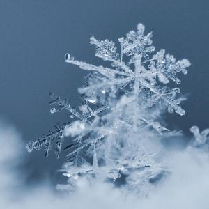 Schneekristall