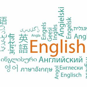 Die Sprachen Burashaski, Copainalá Zoque und Khoekhoe gelten als besonders komplex. Englisch dagegen ist eine Weltsprache.