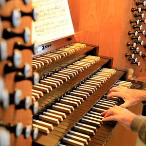 Die Hände vom Domkantor Barry Jordan spielen im Magdeburger Dom auf der Orgel