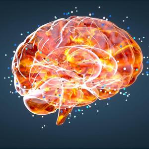 Neuronen feuern