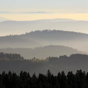 Schwarzwaldpanorama an der Schwarzwaldhochstraße beim Schliffkopf