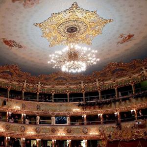 Donna Leon: Venezianisches Finale