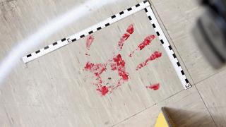 Spurensicherung am Tatort: ein blutiger Handabdruck - True Crime