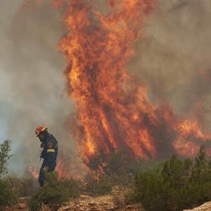 Waldbrand in Viotia, Griechenland: Ein Feuerwehrmann steht vor den Flammen