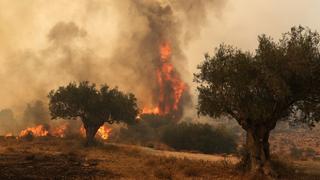 Waldbrand in der Nähe von Athen, Griechenland im Juli 2023